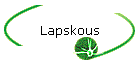 Lapskous