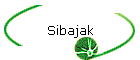 Sibajak