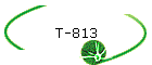 T-813